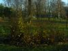 DSCN4511.jpg