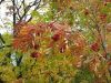 IMG_1179.jpg